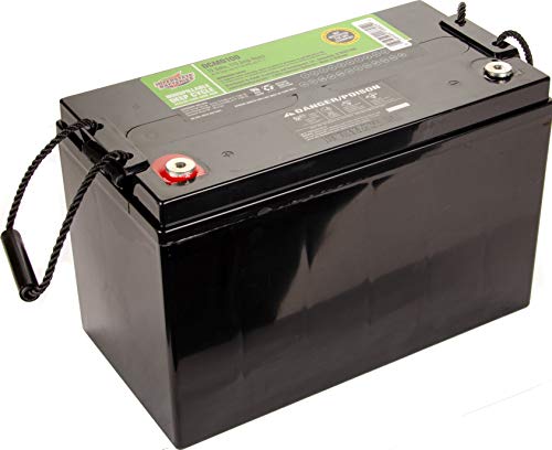Interstate Batteries Batterie à cycle profond SLA/AGM 12 V 110 AH pour applications solaires, éoliennes et camping-car – Bornes à insérer (DCM0100)